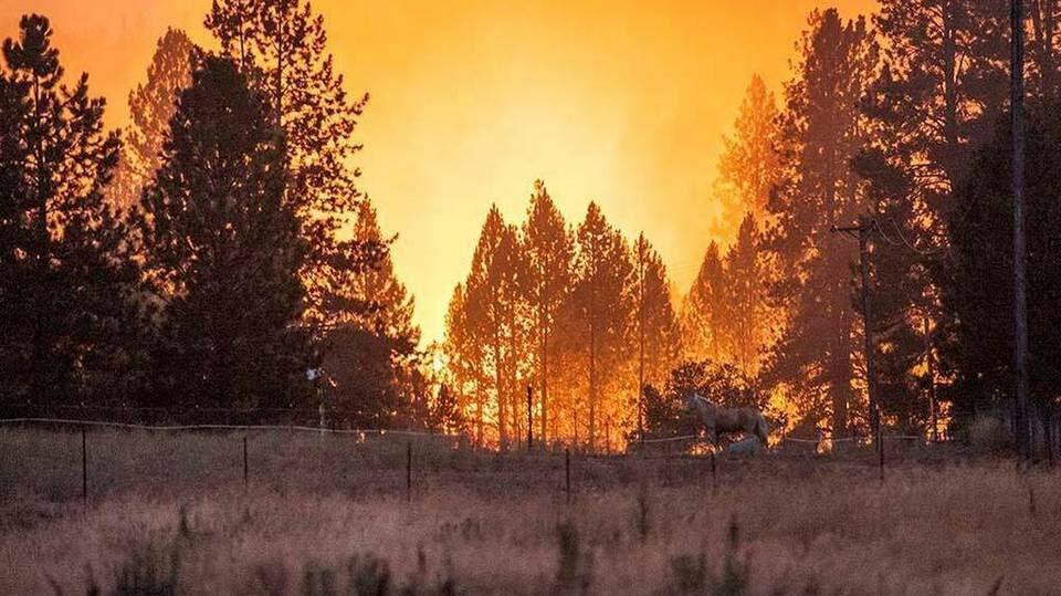 Looking back at the 2015 Big Creek fire